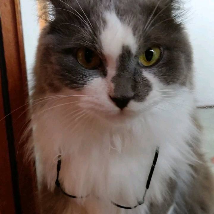 Bea1d0f5 860f 40e3 84bb 5b326d71dcf3 1595143705551