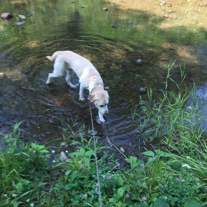 Bea1d8d9 615b 4c43 9459 1251b36e7302 1528375155803