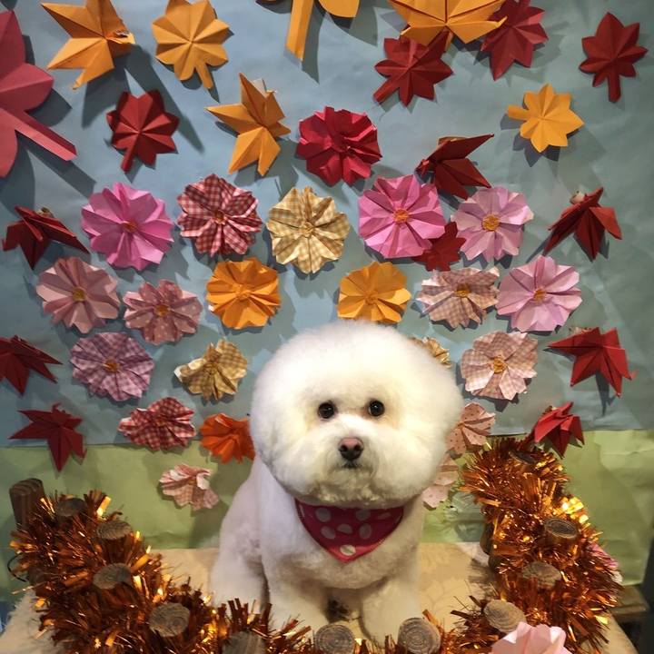 Bea21561 97d5 455a ba5f 776cbf0a3b4e 1632892248532