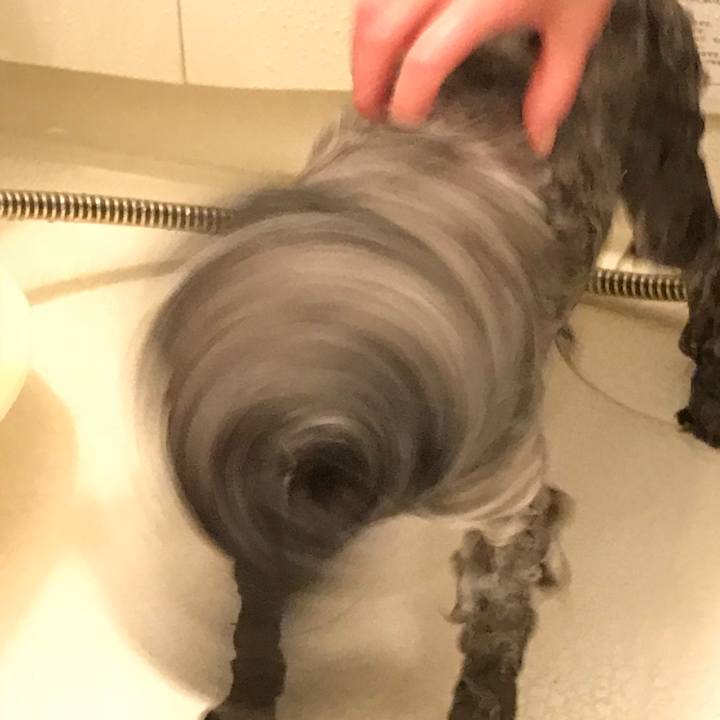 Bea22644 b091 41f0 bfbe e9d3c001dc71 1517049192746