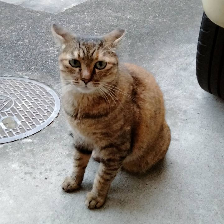 Bea2459f 0061 45cd 99c8 7d2be1fc86ed 1686927448629