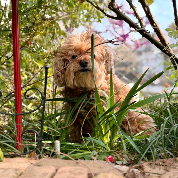 Bea24c7a 9fae 4239 80c8 c8f3632d9a4a 1764672319303