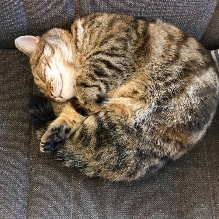 Bea27a5d f9e8 48dd 8206 de0e56df5e13 1507878964401