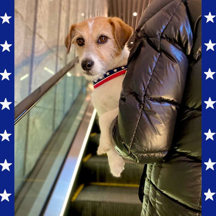 Bea2abe7 f357 466d b6b9 9b562cb2140e 1645837084627