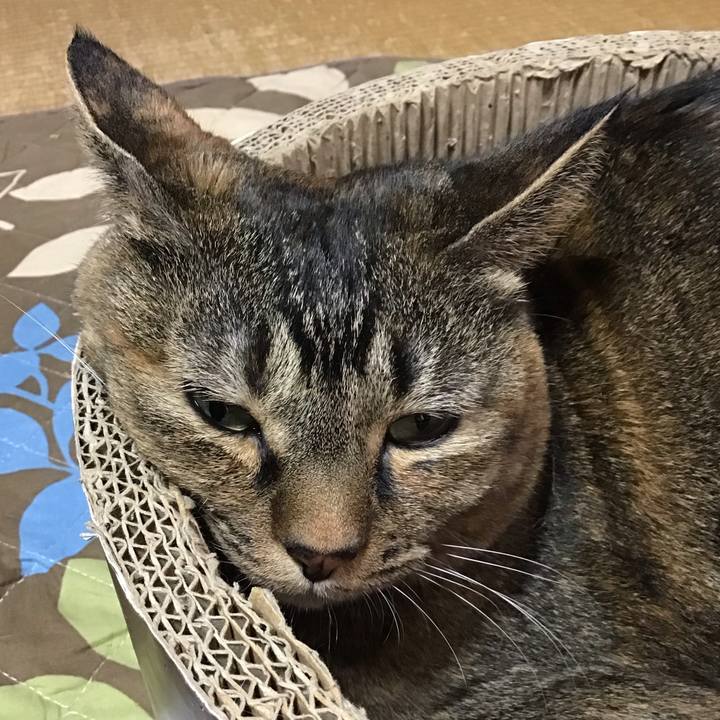 Bea2d61c 5fbf 4d17 b66b b37f200109f5 1732344265691