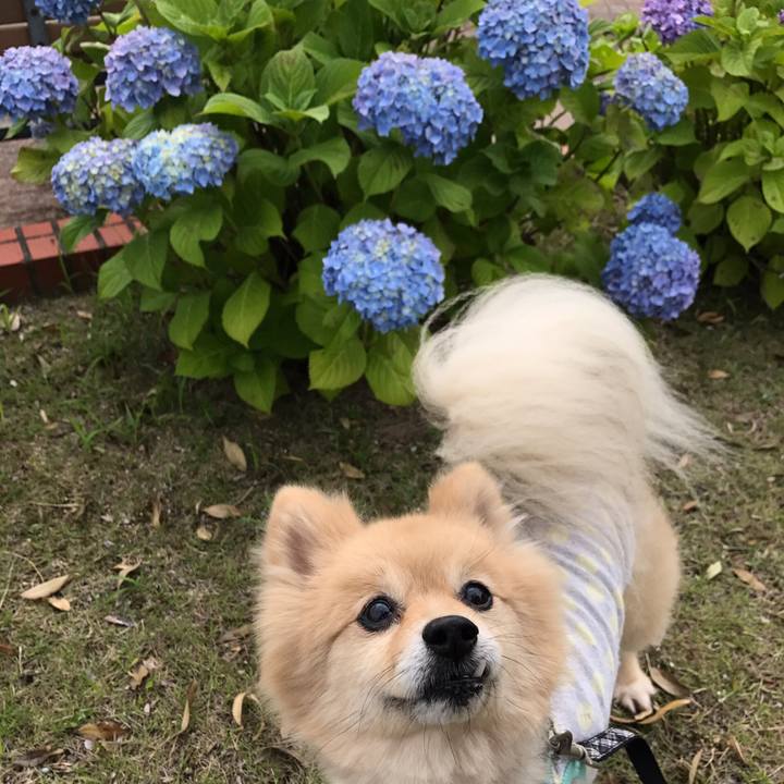 Bea2de52 9c19 41de 9edb f20fc00ab212 1591491108235