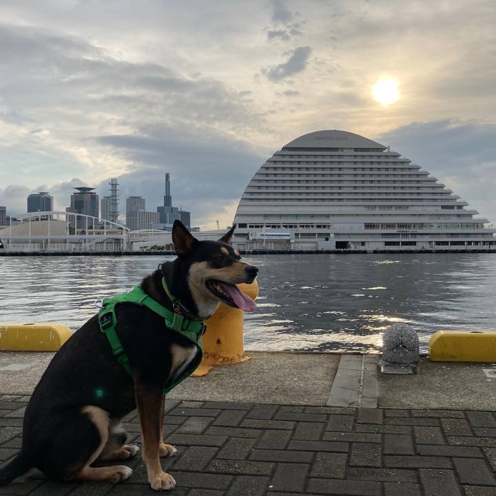 Bea2ec5a 68b4 4538 899b 89231d7f8898 1592208847177