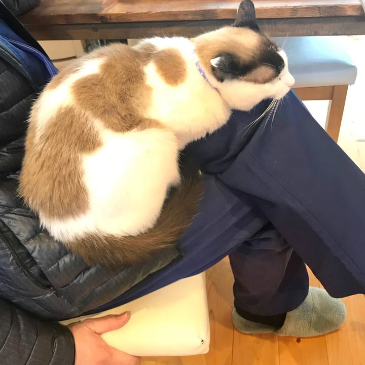 Bea2f553 597e 4a18 b686 460b8750ae99 1551342559499