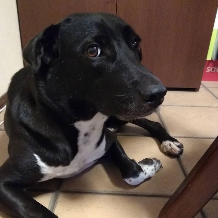 Bea2f5e5 1fc2 4be8 8213 4356265b482c 1597221325069