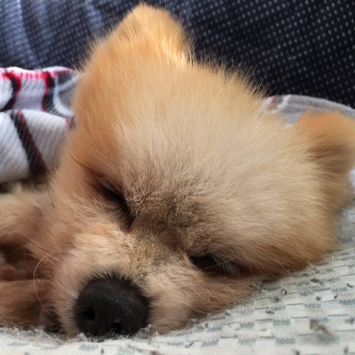 Bea319ac 850b 43c4 936b bf670356db42 1512695065770