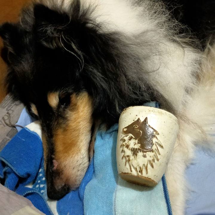 Bea31ea2 b7d2 45f9 bc4e d55a19beacb7 1626939095210