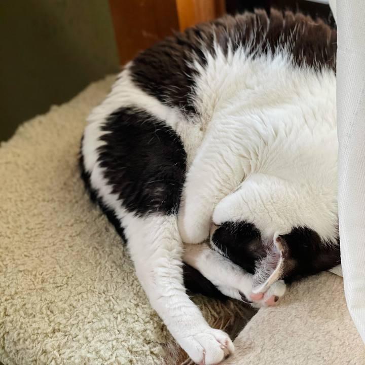 Bea35b39 7269 4390 bd68 8ac9dda4802d 1625022884277