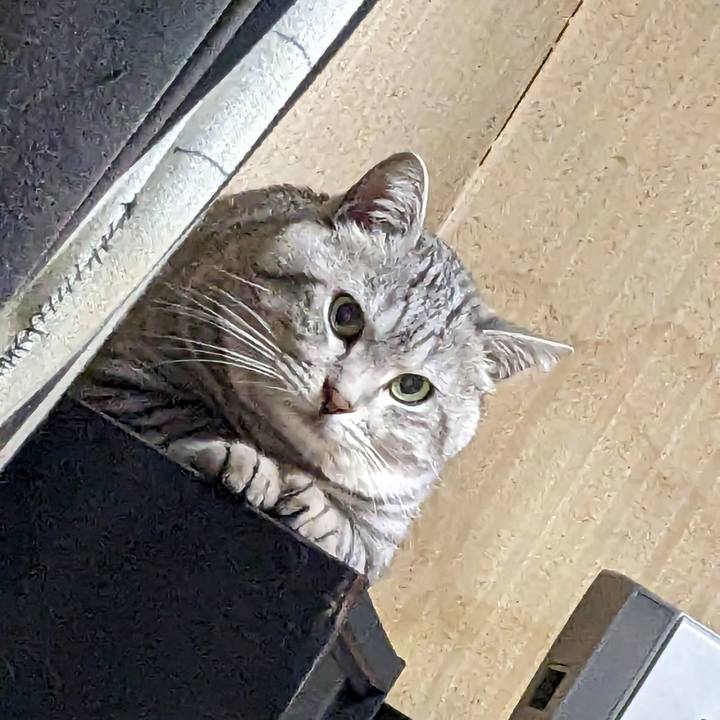 Bea39cd8 4efd 4062 ab41 0d3583504350 1699797025843