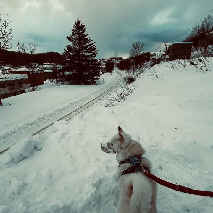 Bea3c4d4 d640 45f4 8a71 e38ce93e7240 1739570894137