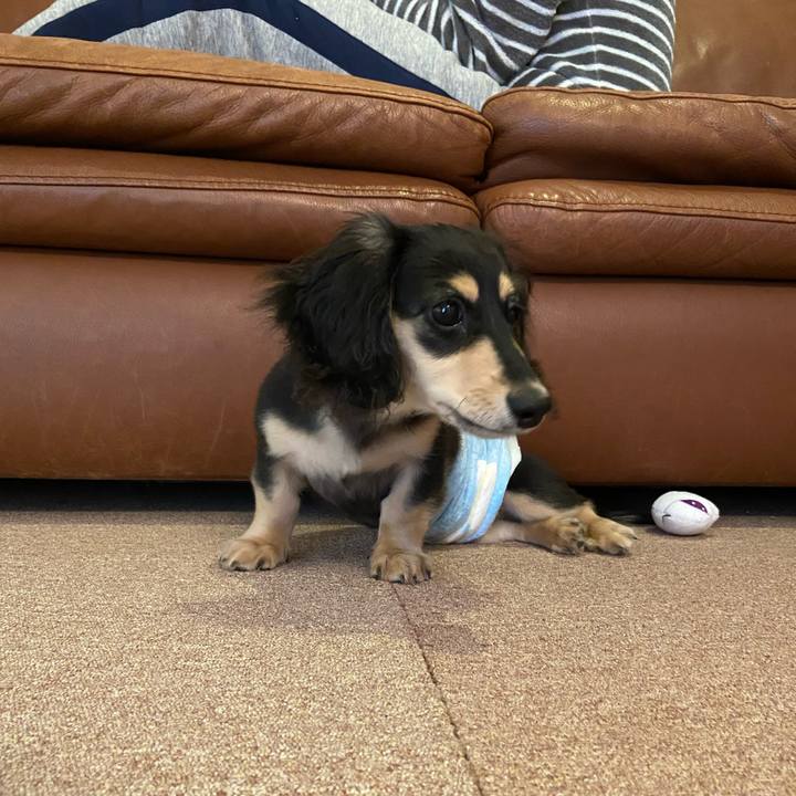 Bea3cf45 f023 49b3 9849 3b82d1fe13ad 1670022706618