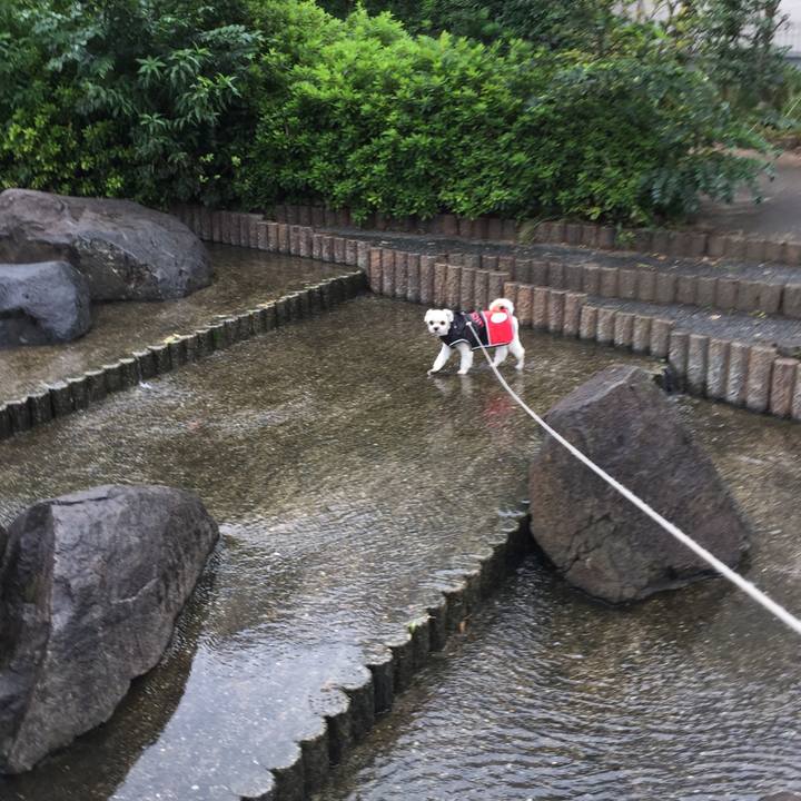 Bea43fa3 1200 4569 a5c3 fdcfe03b7fe2 1538207130383