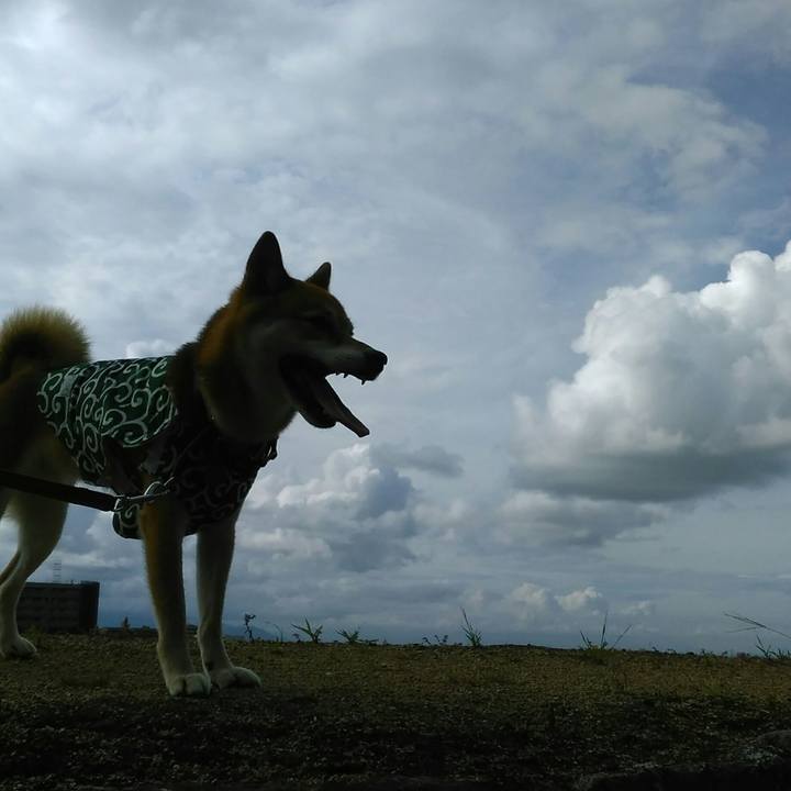 Bea46379 70de 459e 99ca 708de83c4869 1567340418682