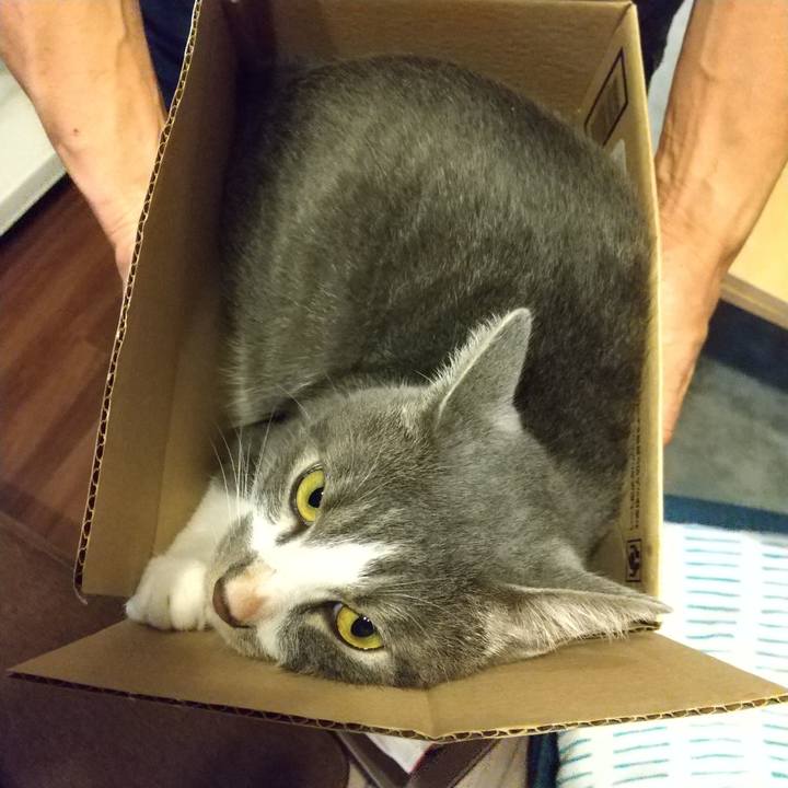 Bea474eb a05e 4cfc 8564 4761cd769b21 1600848454516