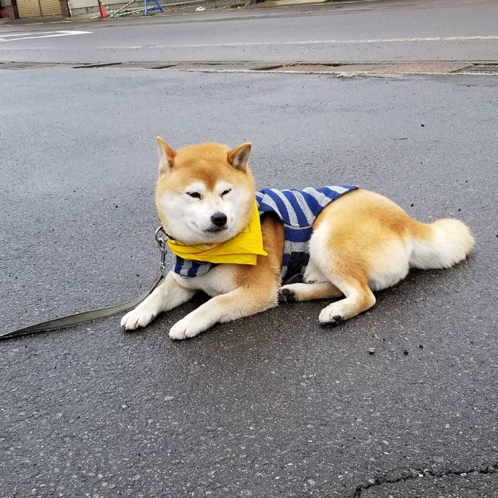 Bea49854 bd2f 4d3e a045 7b2d8be398a3 1521429290779