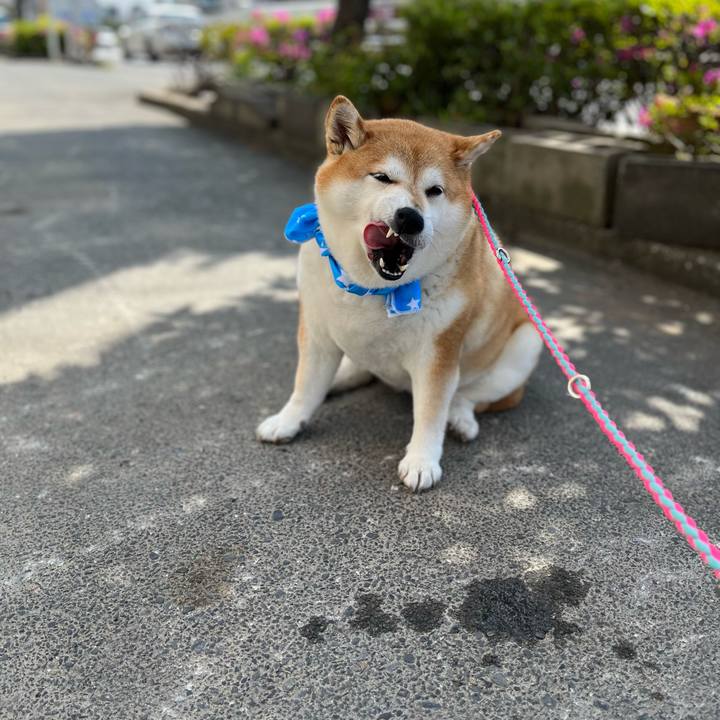 Bea4a7f9 2280 422b 8c83 d3bc882f5a27 1681958788755