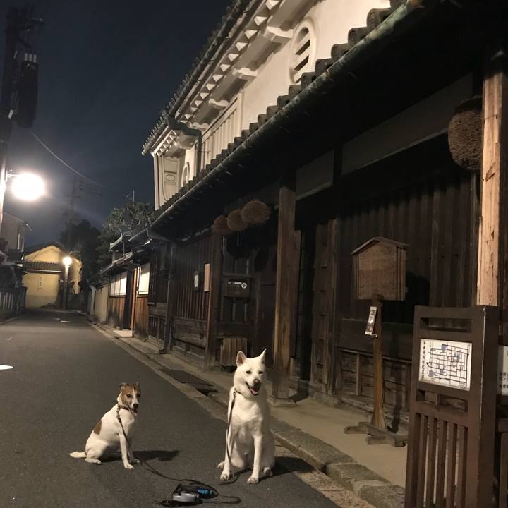 Bea4c557 378b 4620 9f47 f4e1c811cab9 1537783102821