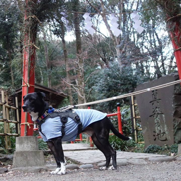 Bea4d4a8 ceab 43d1 ad29 7e5bcfac864f 1641086937798