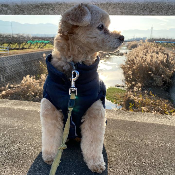 Bea4e1b0 5455 4174 a3f3 d9b0aca22969 1576477230868