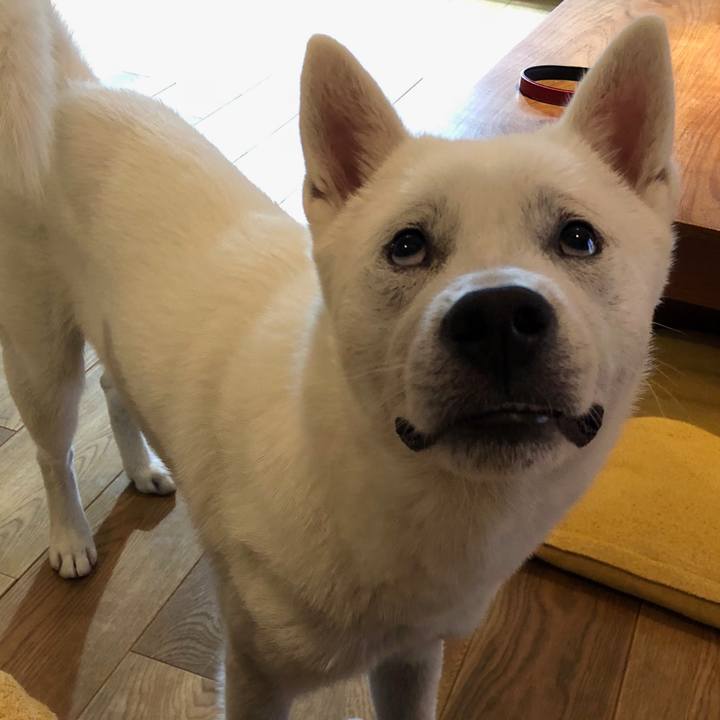 Bea4f372 d6fa 4301 9c19 83205e0d8c23 1529368042608