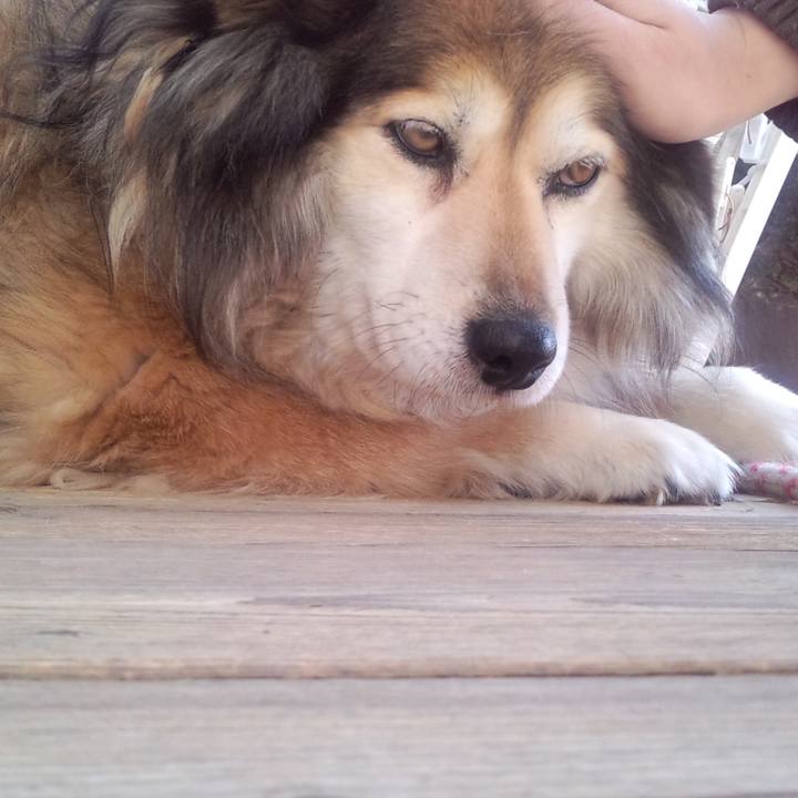 Bea5096c ba8f 4d02 9103 48ef5f45e9db 1586750645202