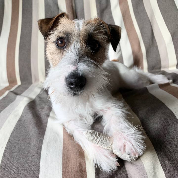 Bea52e3f 8beb 4331 89c2 586301f2536a 1578355826896