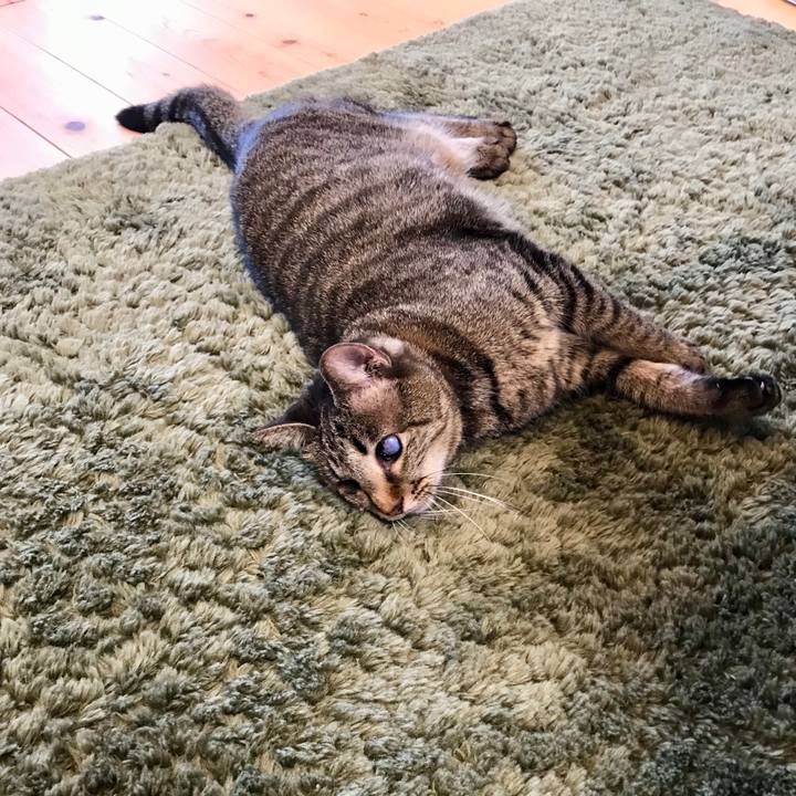 Bea53b38 e926 45e4 9e27 e8abf8527aa4 1552635887497