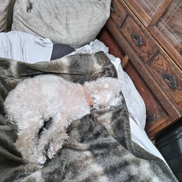 Bea549e2 5f25 482d bfd6 d480f71f6cc6 1713579079073