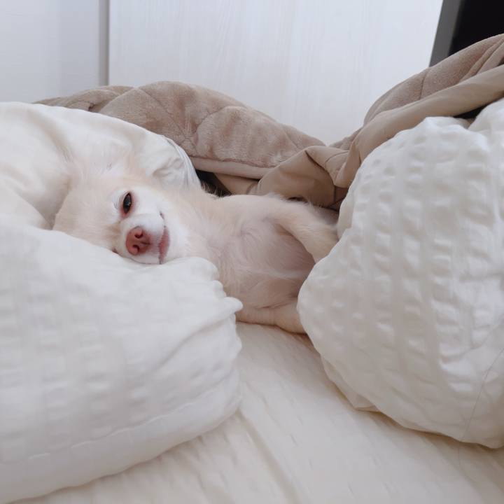 Bea56b42 237a 4876 9714 14d124d5d8aa 1761310951290