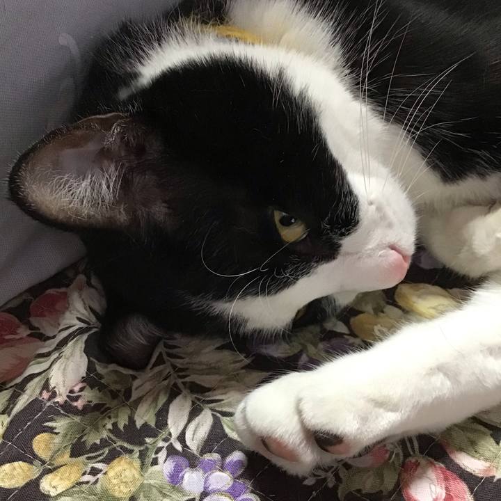 Bea5903f 7952 4ec3 86d1 b9c44125368b 1650160766607