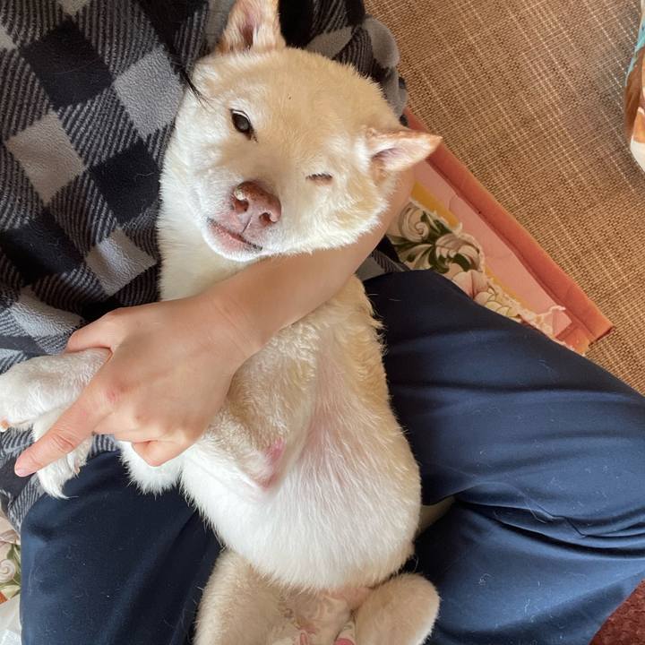 Bea5a9af 34ff 40ab a4fb bb9dfd147c47 1673515303388