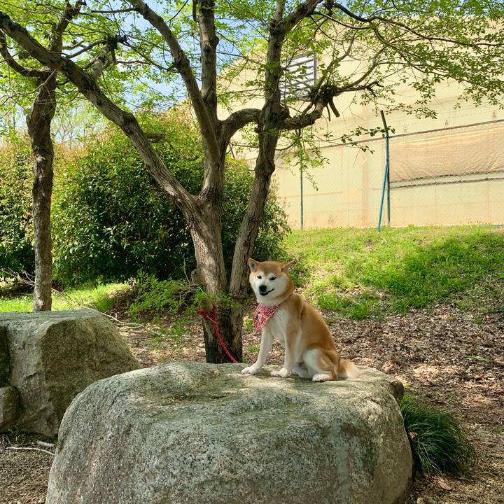 Bea5d0b1 388e 44e6 95bd e91ab64a541e 1651829896388