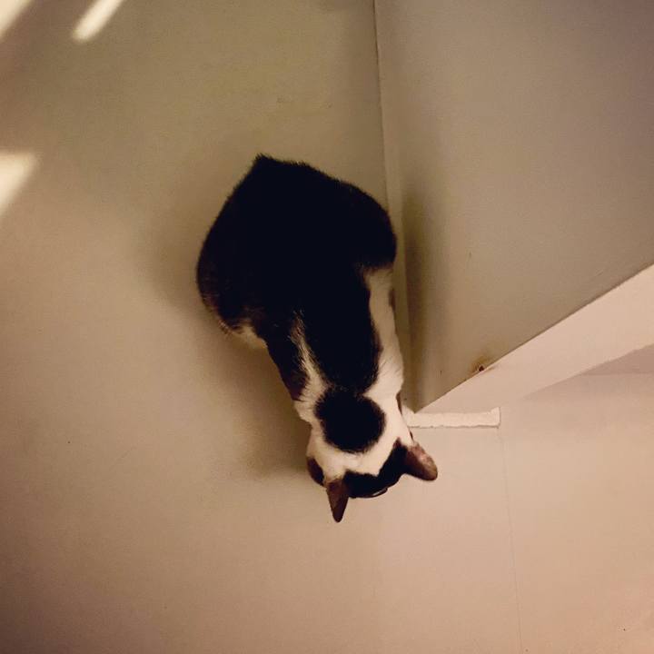 Bea5d947 8db0 426b b11e 25ffe6762a8e 1598716164091