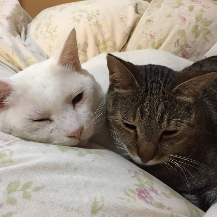 Bea5e64e 8de8 4cdd 88e9 0fe1489e3196 1540157236583