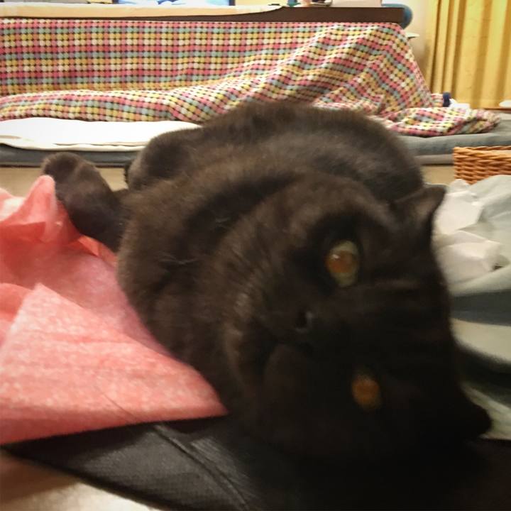 Bea5ecc5 7ff0 42a5 922f 288ce4cea2d3 1544714808128