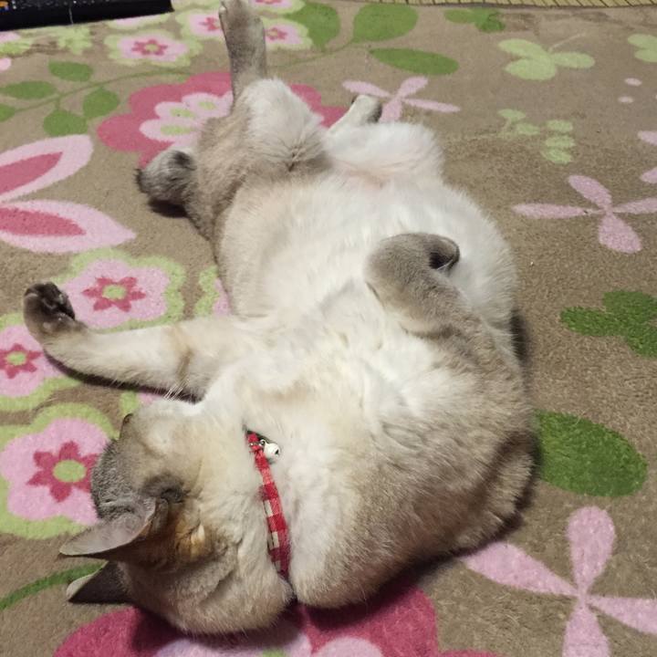 Bea5f304 d800 4287 ab75 69903dfc291f 1519815038693