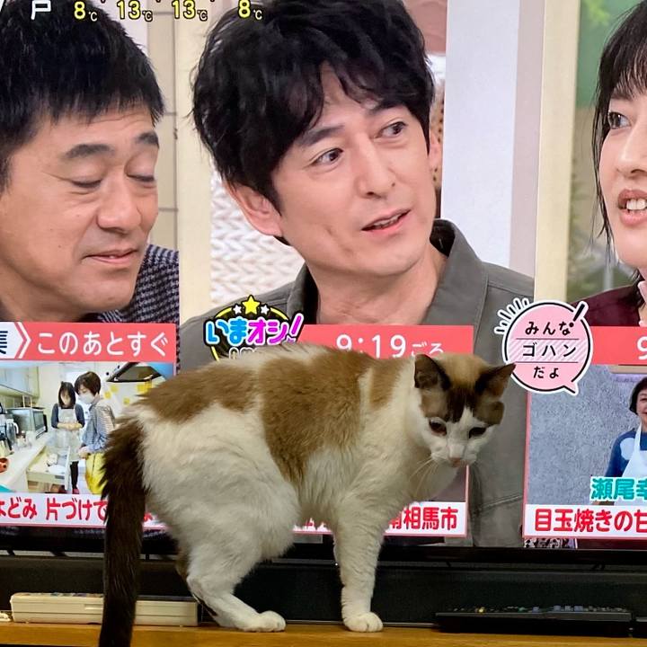 Bea60530 f4b3 4b8f 96bb 36c302ee5fdb 1670414782545