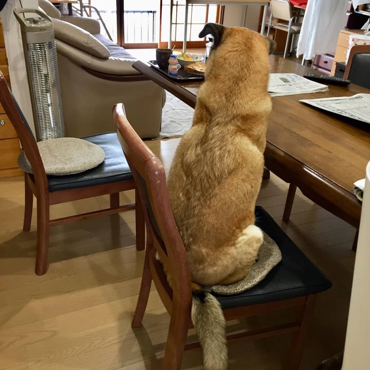 Bea635d6 1f71 48d6 bfe0 2490f255b711 1522974667153