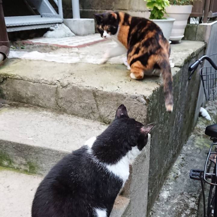 Bea65d91 1b25 4cd3 97d0 053823c3fa2a 1661418330003