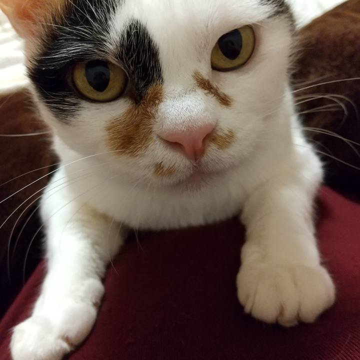 Bea676ea 3746 491d ab2e 9bb64b420b07 1652187557635