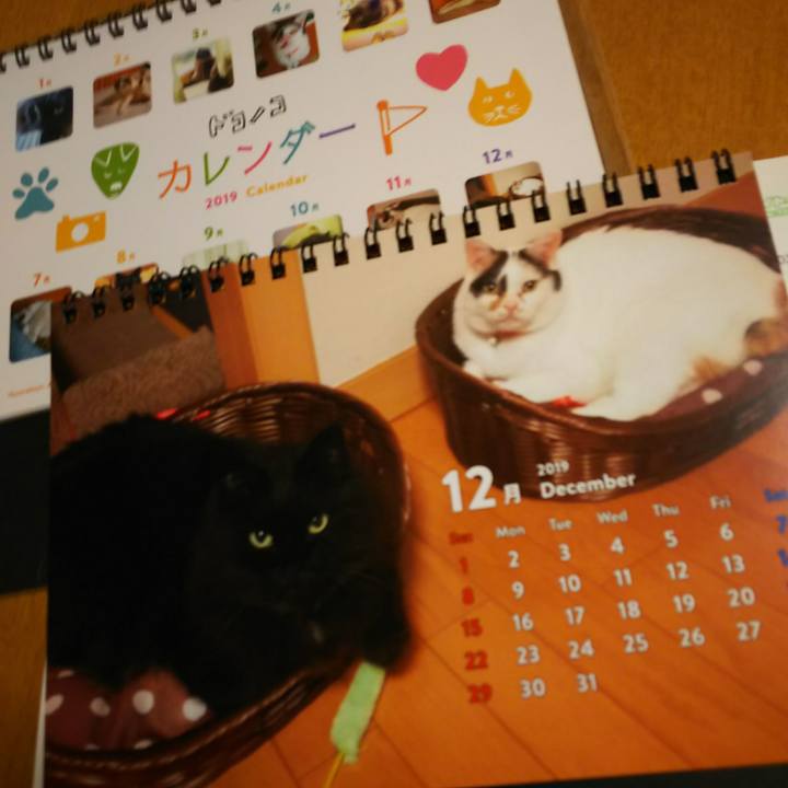 Bea678c7 5e11 48b7 aa12 70a4077338e6 1546082177833