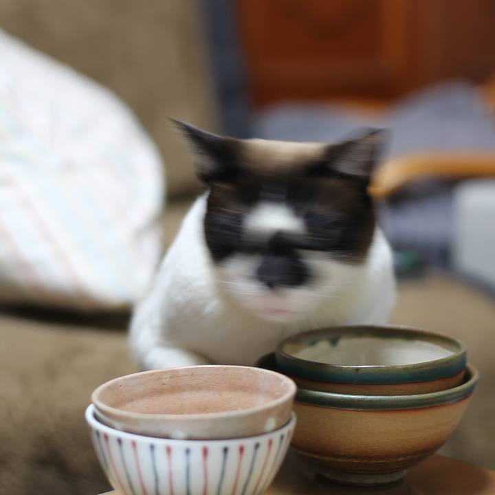 Bea68bfc 6c58 4c43 bf5c 3ba5ccde2a7a 1511872202442