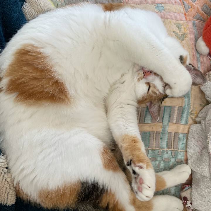 Bea69480 cfd8 47d6 8bc0 058044fdeab6 1622679619314