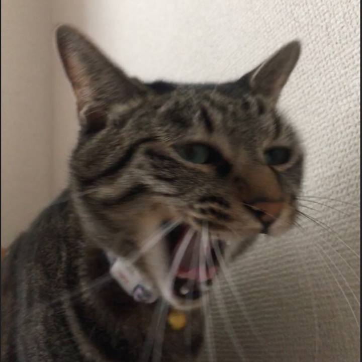 Bea705c7 b59b 47e3 9f2e a727adbb171c 1571811641371