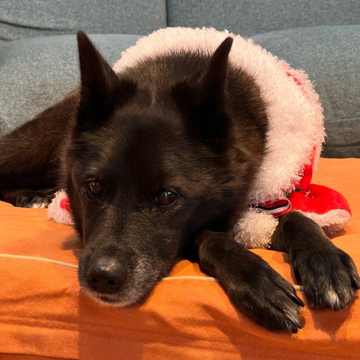 Bea7374e c112 4fa1 9ff2 132a9fbb20ff 1766533708739