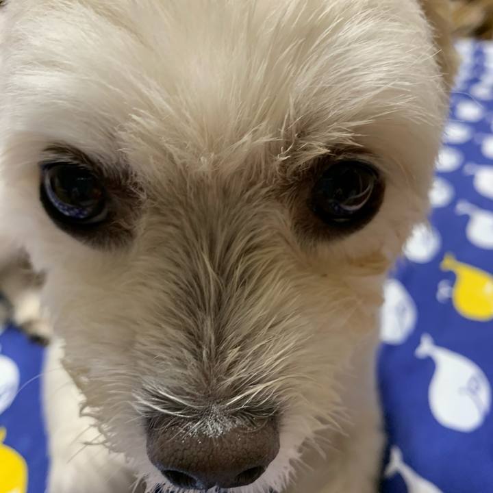 Bea74d01 bf7b 4e33 9416 cb083f4864a6 1598619801658